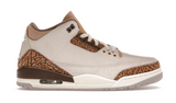 Air Jordan 3 Retro Palomino (WORN)