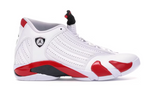 Air Jordan 14 Retro Rip Hamilton 2019 (WORN)