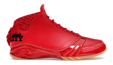 Air Jordan 23 Chicago (WORN/NO BOX)