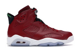 Air Jordan 6 Retro History of Jordan (Spiz'ike) (WORN)