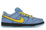 Nike SB Dunk Low The Powerpuff Girls Bubbles (WORN)