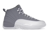 Air Jordan 12 Retro Stealth (WORN)