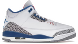 Air Jordan 3 Retro True Blue (2026) (WORN)